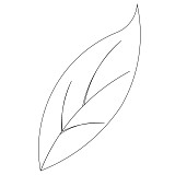 brides garden leaf